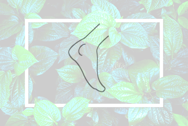 dessin de pied, fond de feuilles