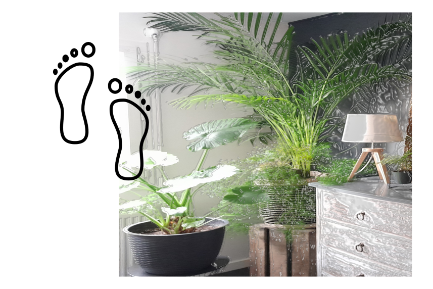 dessin de pieds, photo de plantes